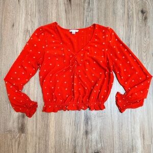 American Eagle Vneck Crop top Long Sleeve Xs